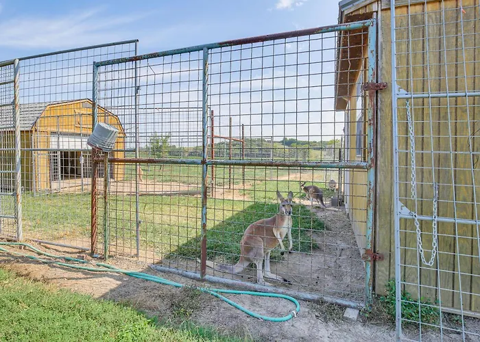 Farm In Illinois With Private Fishing Pond * Kampsville